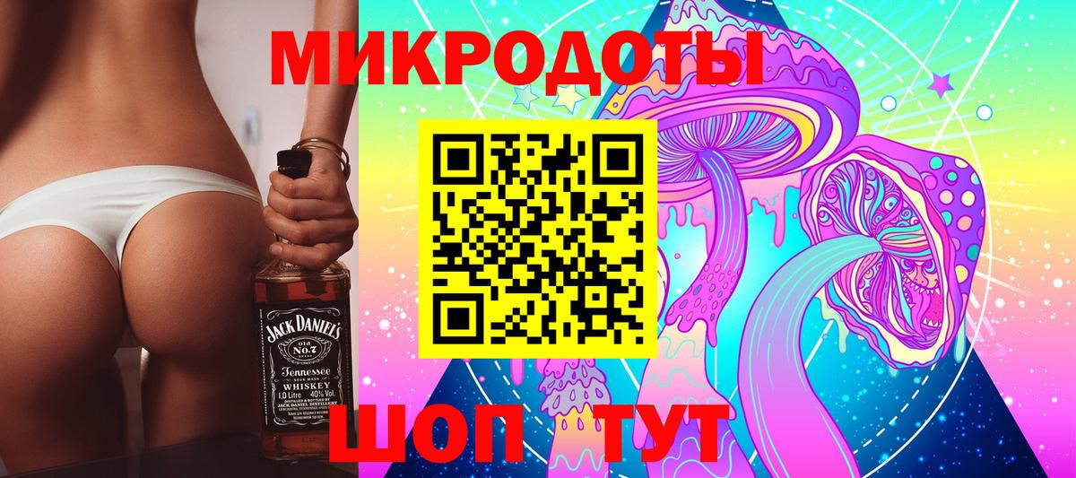 Псилоцибиновые грибы мицелий Аша